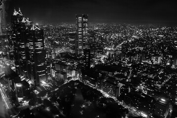 白黒の新宿の夜景