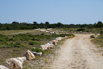 Kametjak in Kroatien