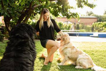 Friendship of people and animals. Woman playing with dog Labrador and Sennenhund outdoors in green park.