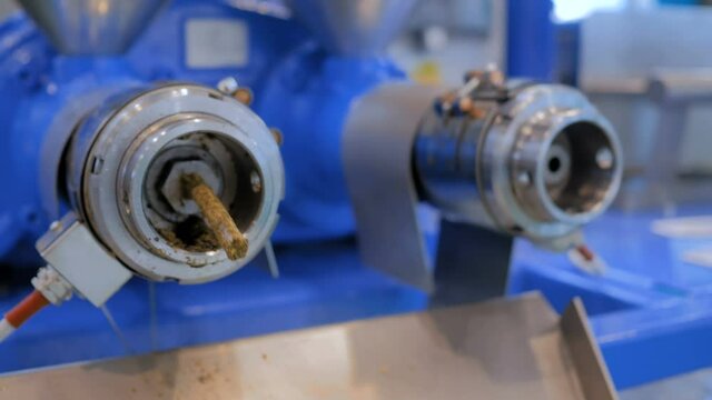 Close up view - pet food and oil extruder machine: mixed feed production line at factory, plant, exhibition, trade show. Farming, extrusion technology, agriculture industry, animal husbandry concept