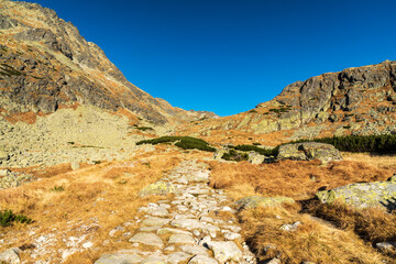 Mlynicka dolina valley in autumn Vysoke Tatry mountains in Slovakia © honza28683