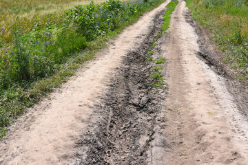 Fototapeta na wymiar Country road, close up. Dirt road in the field.