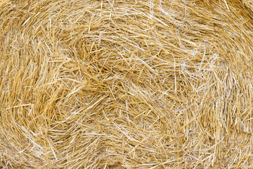 Hay background close up. Harvesting hay. Agriculture.
