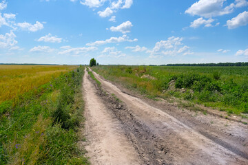 Fototapeta na wymiar Country road through the fields. Dirt road in the field.
