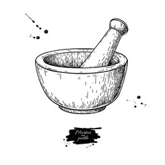 Mortar and pestle vector drawing. Engraving style pharmacy and medicine object. - 364271537