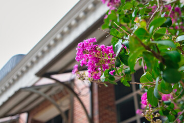 Beautiful floral and garden arrangement around town