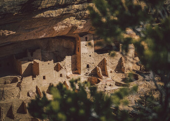 Mesa Verde, Colorado, shrouded by leafless winter trees.