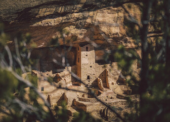 Mesa Verde, Colorado, shrouded by leafless winter trees.