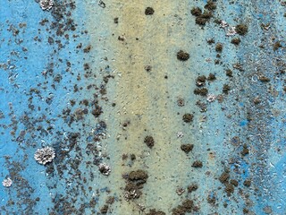 Abstract blue background with rust on a blue metal plate.