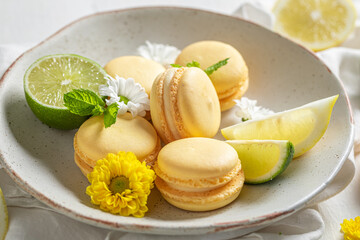 Yummy lemon macaroons on white table with spring flowers