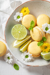 Yummy lemon macaroons as a tasty small snack