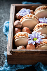 Delicious hazelnut macaroons as a tasty dessert