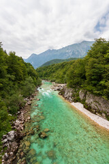 Fototapeta na wymiar Turquoise green Soča river Slovenia