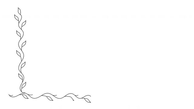 Self drawing animation of floral frame, botanic cadre. White background. Branches, leaves forming borders. Copy space.
