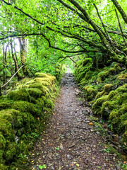 Fototapeta na wymiar Green Hiking Trail in the Scottish Highlands.
