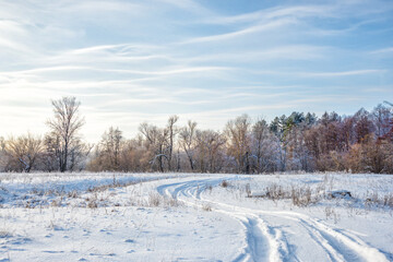 Fototapeta na wymiar Winter landscape with a road and a forest