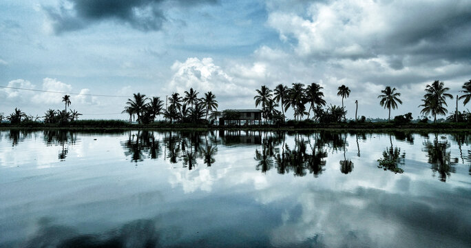 Silhouette of palm trees in the backwaters of Alleppey in Kerala. India.