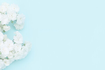 Sprigs of white roses on blue background, copy space.