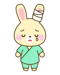 病院・小児科用　怪我するうさぎイラスト