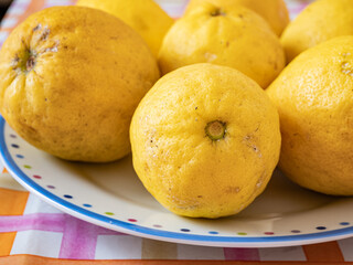 Close up of organic lemons in a colorful dish, on top of a table. Useful as a floral background.