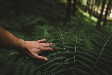Explorer people searching the right directions in the jungle .Survival travel,lifestyle concept with freen fern background
