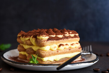 Italian traditional tiramisu dessert in a plate on a concrete background.
