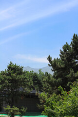 Fototapeta na wymiar View of trees, a building with a tiled roof and mountains against a blue sky. Xian. China...