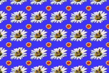 from patterns of flowers, butterflies collect nectar and pollen on flowers, design for packaging and wallpaper.