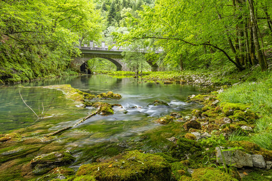 View of the green Wild lake (Divje jezero) near the city of Idrija on a summer day, Slovenia