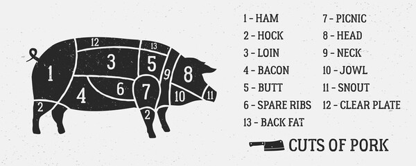 Meat diagram. Cuts of pork. Pig silhouette isolated on white background. Vintage Poster for butcher shop with grunge texture. Vector illustration