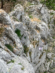 a rock for climbing up