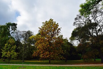 Fototapeta na wymiar Kew Gardens, England