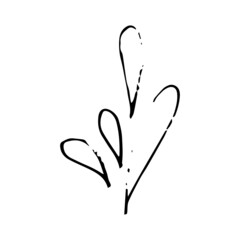 Hand drawn floral design element for concept design.