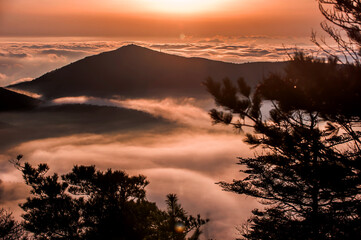 Beautiful sea of clouds at sunset on the top of the mountain.
