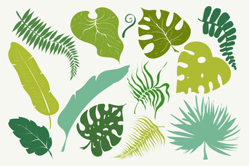 Summer set of green tropical leaves palm, trees elements. Exotic jungle leaf. Vector stock illustration. Design for cards, web, natural product ets.