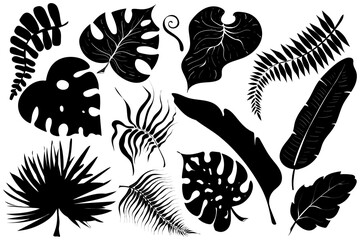 Summer set black silhouettes of tropical leaves palms and trees elements isolated on white background. Monochrome jungle exotic leaf. Vector illustration design for cards, web, natural product ets.