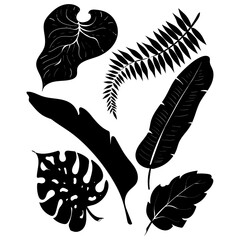 Summer set black silhouettes of tropical leaves palms and trees elements isolated on white background. Monochrome jungle exotic leaf. Vector illustration design for cards, web, natural product ets.