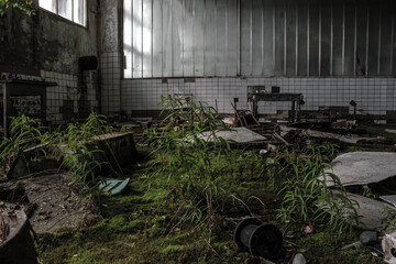 abandoned factory