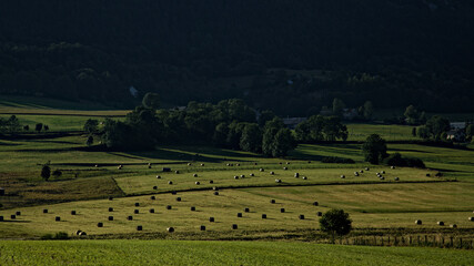 Matin sur le plateau du Vercors