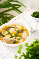 Chicken soup with fresh vegetables, chicken wings broth and young potatoes with onions and carrots, chopped green onions and parsley