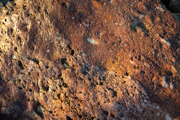 Texture of a Red Rock on the Beach for Background