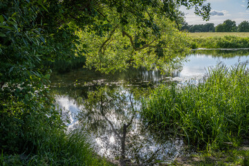 Beautiful murky river floating through a lush, green area. Reflections from trees