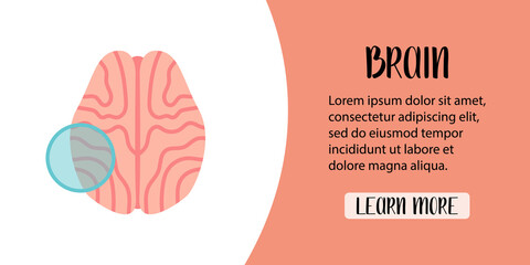 Human brain. Neurobiology. Diagnosis of cerebrum diseases. Electroencephalogram. Vector flat illustration. Perfect for banner, landing page