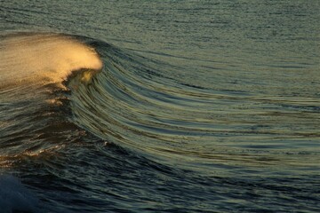 Ocean Waves