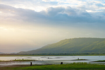 Waterside shot that show decrease level of water that can see dirt or river bed. With dead Tree stump. Climate change concept result from human cut down the trees and  destroy global environment.
