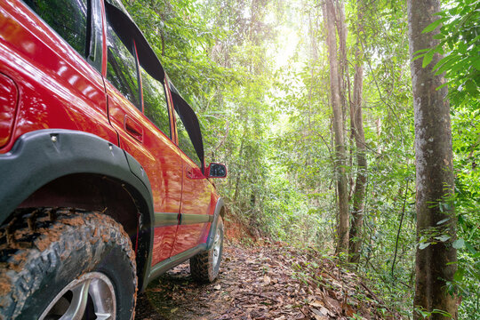 Red suv summer car and road in mountains Driving in forest dirt road Free space for your decoration Green forest background Countryside mood adventure. - Powered by Adobe