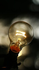 light bulb in a glass