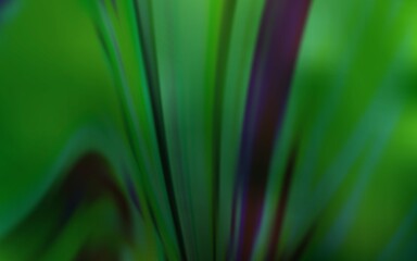 Light Green vector colorful abstract background. An elegant bright illustration with gradient. Elegant background for a brand book.