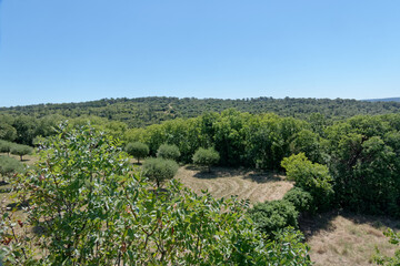 Fototapeta na wymiar Panorama sur les garrigues autour de la commune d'Uzès dans le Gard - France
