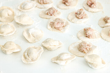 Homemade Cooking chinese Ravioli or dumplings